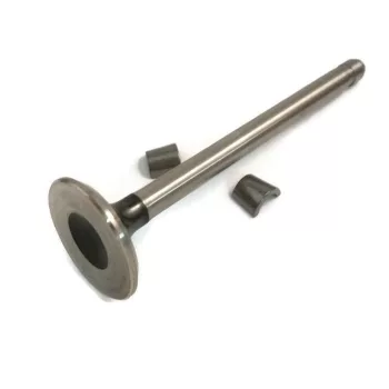 Briggs trak. kip.szelep