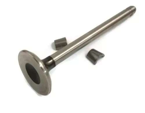 Briggs trak. kip.szelep