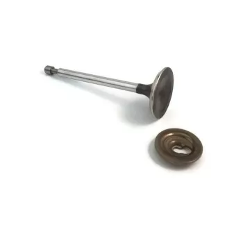 Briggs trak. 14,5I/C kip.szelep