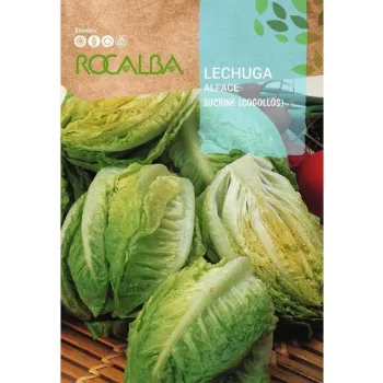 Saláta Sucrine 3gr (szívsaláta) Rocalba