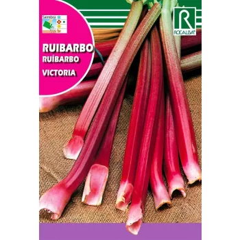 Rebarbara Victoria 1gr Rocalba