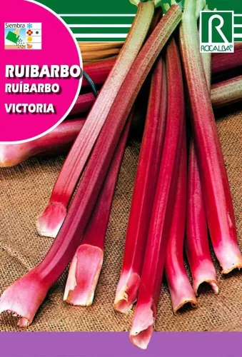 Rebarbara Victoria 1gr Rocalba