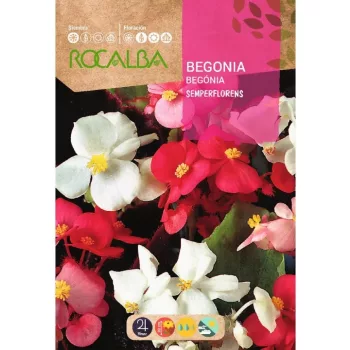 Begónia színkeverék Rocalba 0,1g