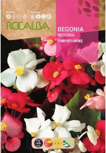 Begónia színkeverék Rocalba 0,1g