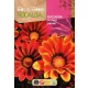 Záporvirág Sunshine 0,2gr Rocalba