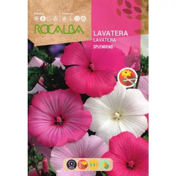 Madármályva Splendens Rocalba 8g