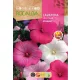 Madármályva Splendens Rocalba 8g