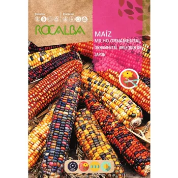 Díszkukorica 10g Rocalba