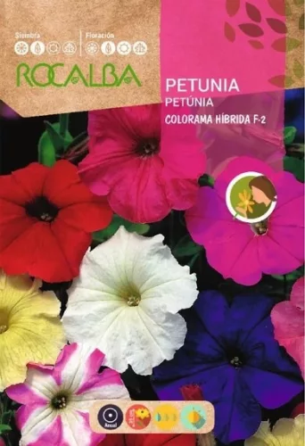 Petúnia nagyvirágú színkeverék 0,5g Rocalba