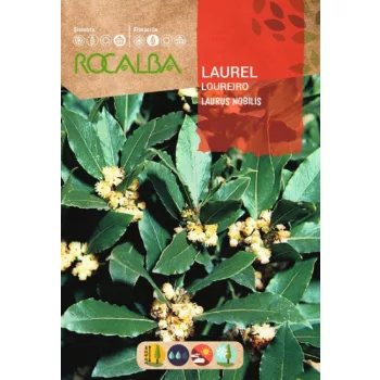 Babér 4gr Rocalba