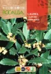 Babér 4gr Rocalba