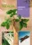Ginseng 4mag /ginseng gyökér/