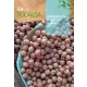 Csicseriborsó Castellano 50gr Rocalba