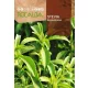 Stevia édesítő 0,02gr Rocalba