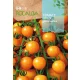 Paradicsom Cereza Amarilla 0,1g Rocalba