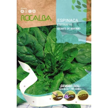 Vetőszalag Spenót 5m Rocalba