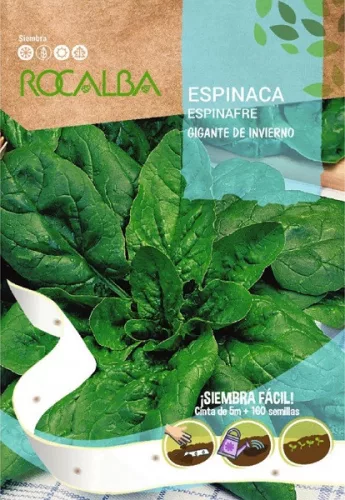 Vetőszalag Spenót 5m Rocalba