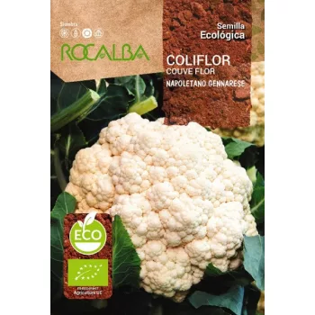 Karfiol Napoletano Gennarese 1g Rocalba