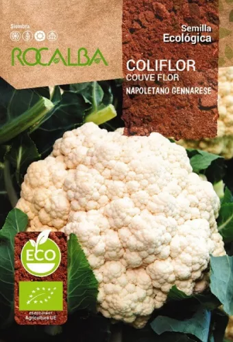 Karfiol Napoletano Gennarese 1g Rocalba