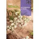 Fűszerkömény 6gr Rocalba
