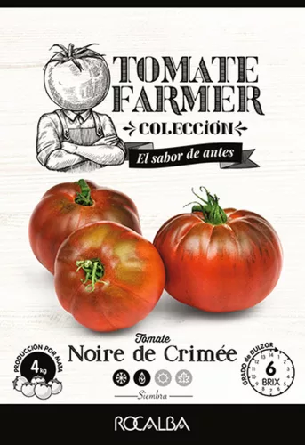 Paradicsom Noire de crimée 19 szem Rocalba