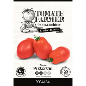Paradicsom Piktorum 19 szem Rocalba