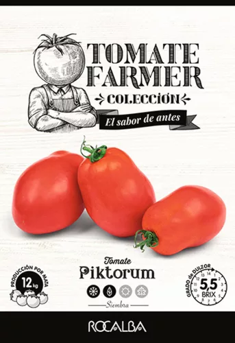 Paradicsom Piktorum 19 szem Rocalba