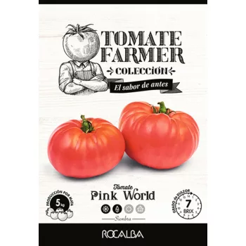Paradicsom Pink World 15 szem Rocalba