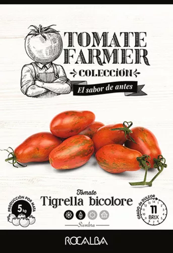 Paradicsom Tigrella Bicolore 8 szem Rocalba
