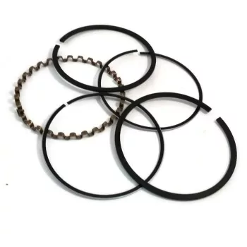 Briggs 4,0le dug.gyűrű 70,6mm (régi)