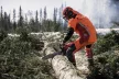 Husqvarna-565 18" láncfűrész AutoTune