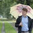 Esernyő napraforgó