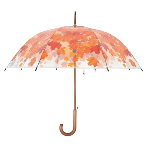 Esernyő őszi levél átlátszó