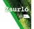 Zsurló 0,5L