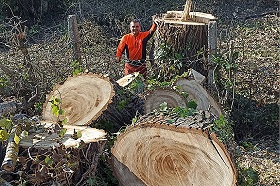 Husqvarna 365 és 372 láncfűrészek