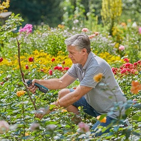 Akkus metszőolló: modern segítőtárs a kertben
